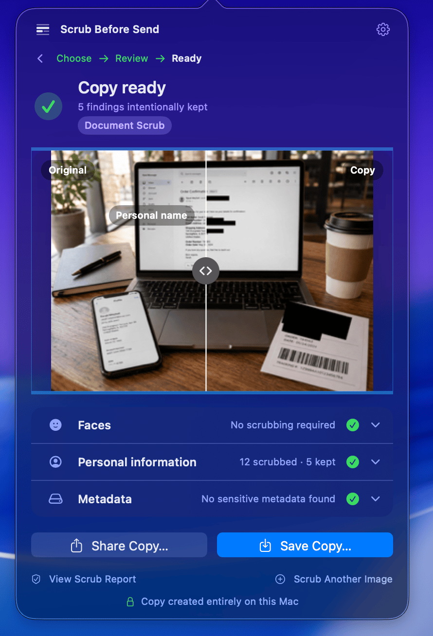 Scrub Before Send showing an original and clean photo comparison with review results